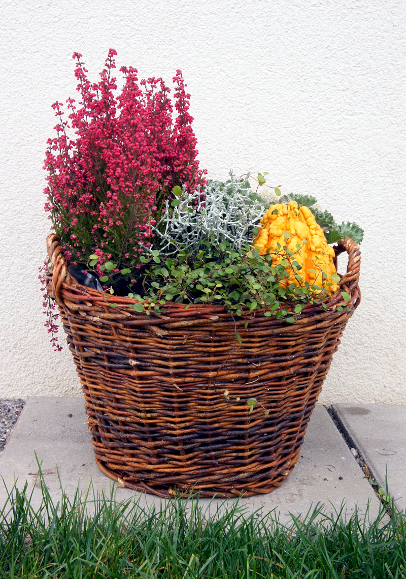 Herbstdeko