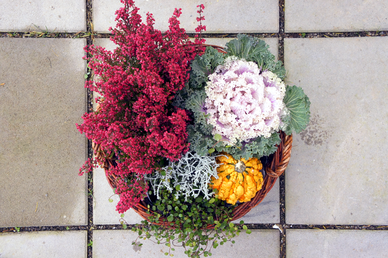 Herbstdeko