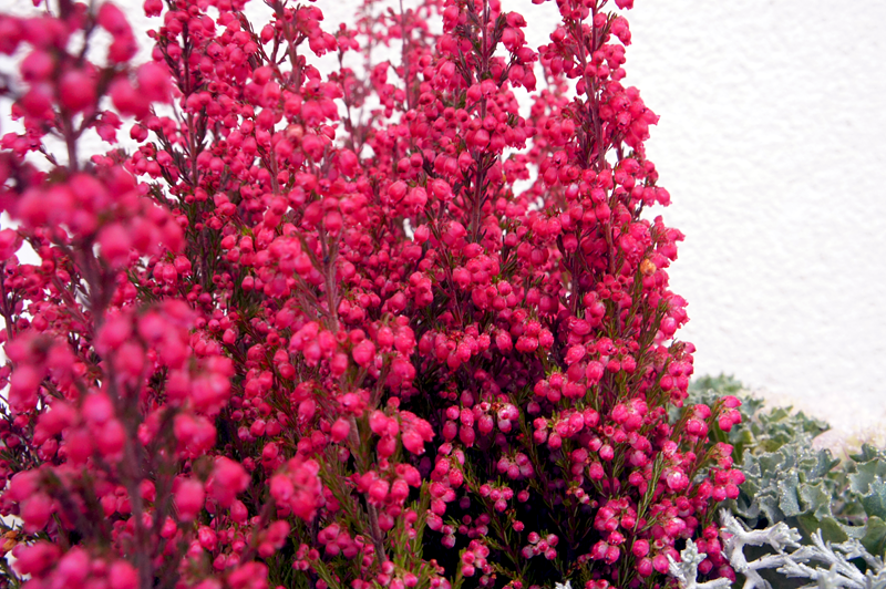 Herbstdeko