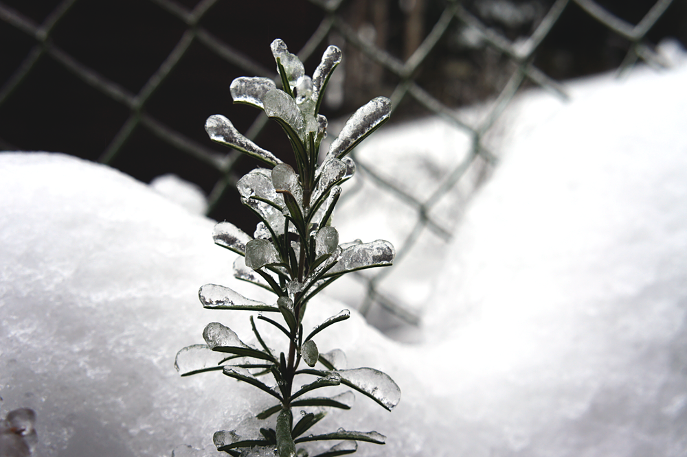 Winter Fotos