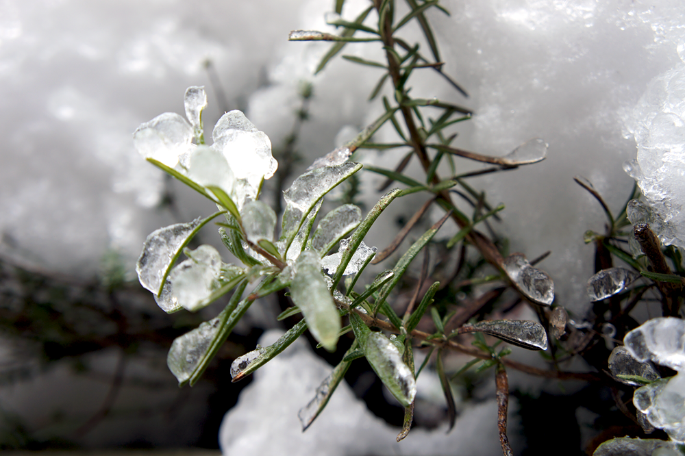 Winter Fotos