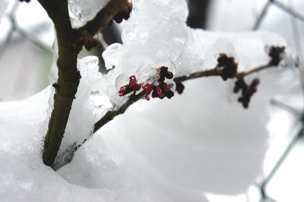 Winter Fotos