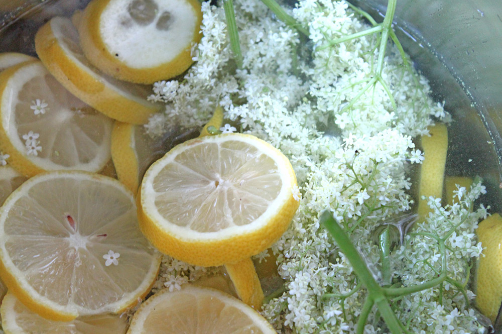Holundersirup | orangenmond.at