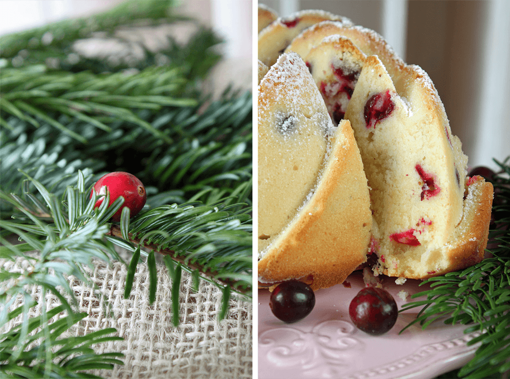 Cranberry & Buttermilch Gugelhupf / Cranberry Buttermilk Bundt Cake | Orangenmond